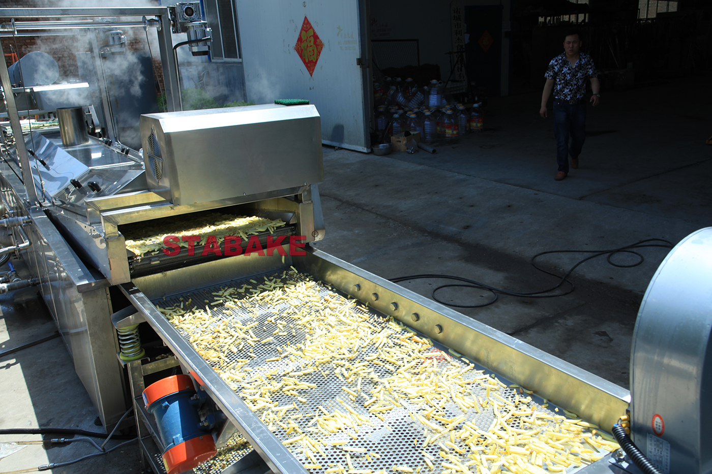 Línea automática de producción de papas fritas congeladas 
